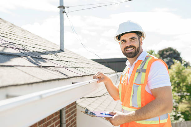 Best Gutter Installation and Roofing  in Ham Lake, MN