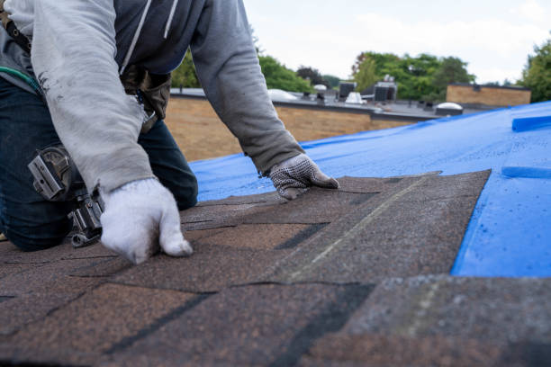 Sealant for Roof in Ham Lake, MN